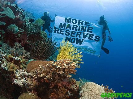 Marine reserve Mangroves amp Marine Reserves News amp Notes