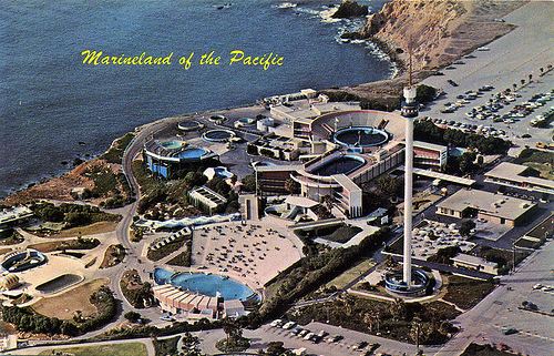 Marineland of the Pacific Franklin Avenue Retro Friday Marineland of the Pacific