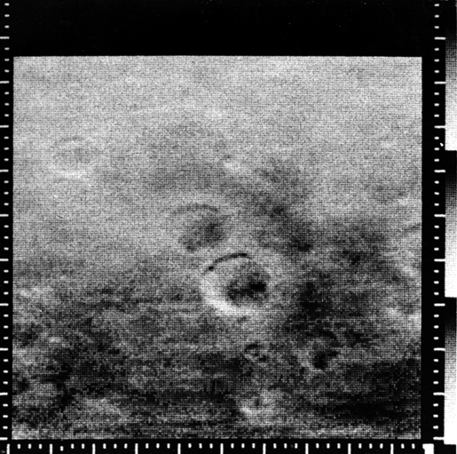 Mariner 4 NASA NSSDCA Spacecraft Details