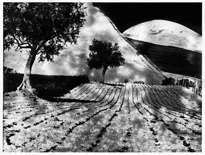 Mario Giacomelli Giacomellis miraculous black and white photographs an exhibit