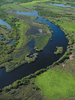 Marismas Nacionales-San Blas mangroves Tesoro ecolgico en riesgo Los manglares de Marismas Nacionales