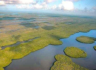 Marismas Nacionales-San Blas mangroves Marismas Nacionales