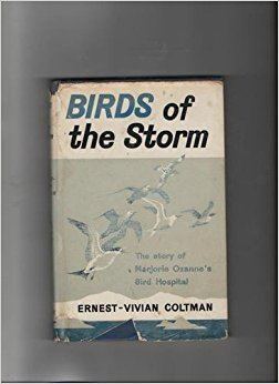Marjorie Ozanne Birds of the storm The story of Marjorie Ozanne and her bird
