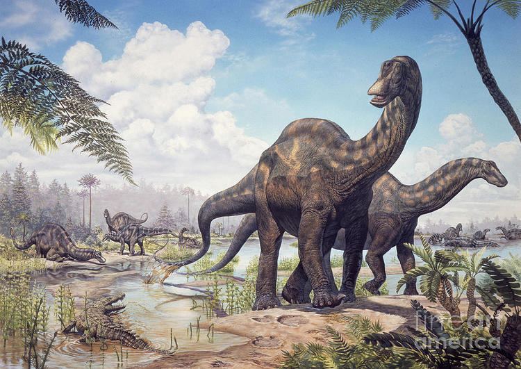 Mark Hallett (artist) Large Dicraeosaurus Sauropods by Mark Hallett