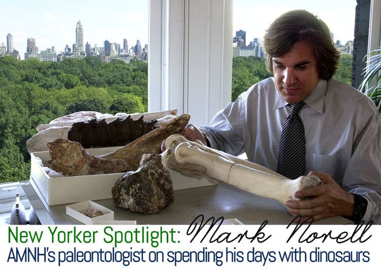 Mark Norell New Yorker Spotlight Paleontologist Mark Norell Works Spends His