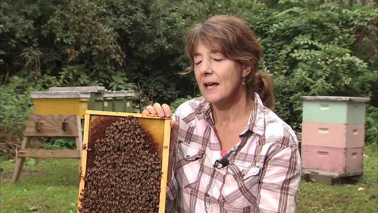 Marla Spivak Entomologist Marla Spivak 2010 MacArthur Fellow