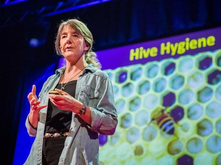 Marla Spivak Marla Spivak Why bees are disappearing TED Talk TEDcom