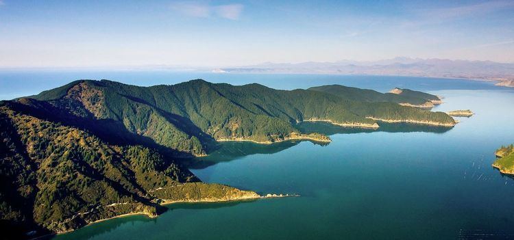 Marlborough Sounds Cruise Holidays in the Marlborough Sounds Top of South Island NZ