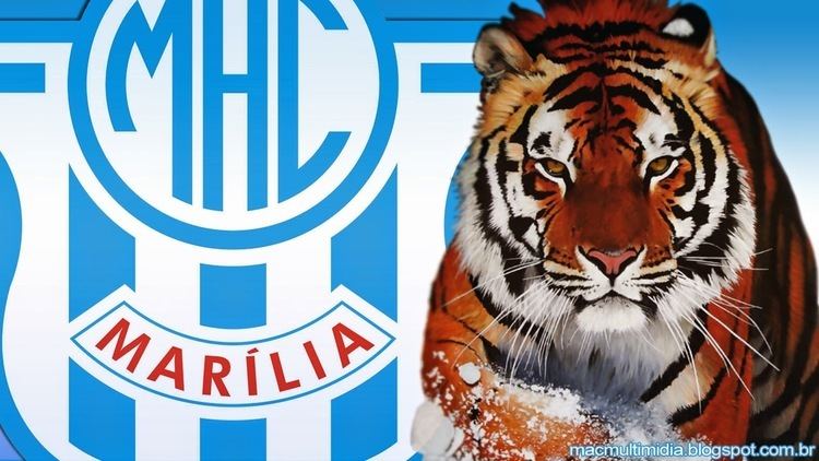 Marília Atlético Clube rvo Digital MAC Multimdia Ace