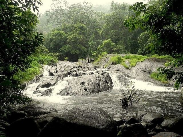 Marottichal One Day Trek to Marottichal Falls Thrissur Kerala WildRoars