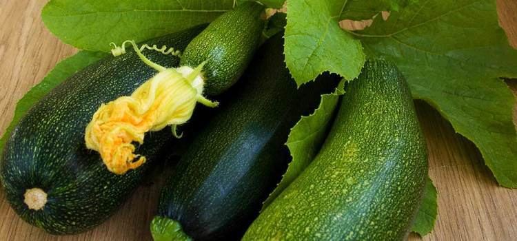 Marrow (vegetable) 10 Amazing Health Benefits Of Marrow Vegetable