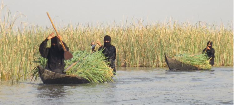 Marsh Arabs marsh arabs Digging up old stuff in hot places