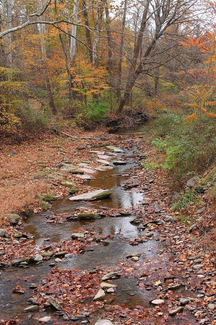 Marsh Creek (Bowman Creek)