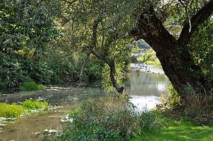 Marsh Creek (Pine Creek) httpsuploadwikimediaorgwikipediacommonsthu