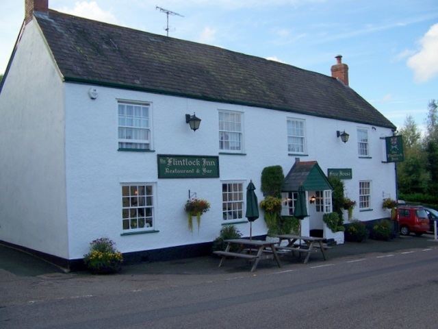 Marsh, Devon