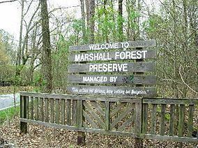 Marshall Forest httpsuploadwikimediaorgwikipediacommonsthu