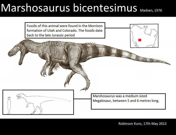 Marshosaurus pre06deviantartnet88e5thprei201313689ma