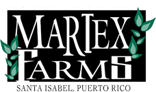 Martex Farms martexfarmscomwpcontentuploads201603martex