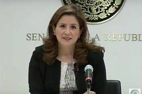 Martha Tagle Martínez SFP debe investigar al titular de Semarnat por omisin plantea