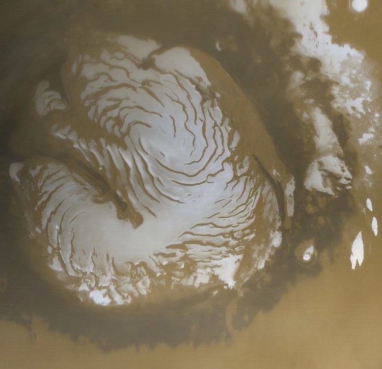 Martian polar ice caps