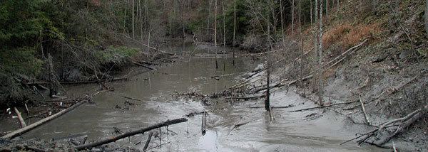 Martin County coal slurry spill 1000 images about Martin County on Pinterest Local news Martin o