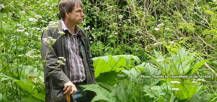 Martin Crawford Martin Crawford VanKal Permaculture