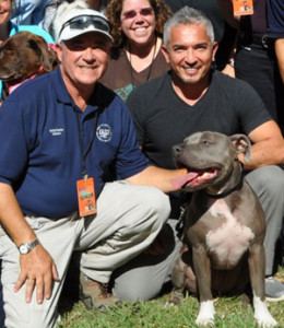 Martin Deeley Martin Deeley Florida Dog Trainer