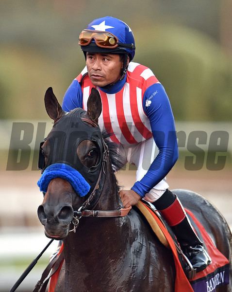 Martin Garcia (jockey) bloodhorse Photo Keywords Bayern bayern