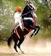 Marwari horse httpsuploadwikimediaorgwikipediacommonsthu