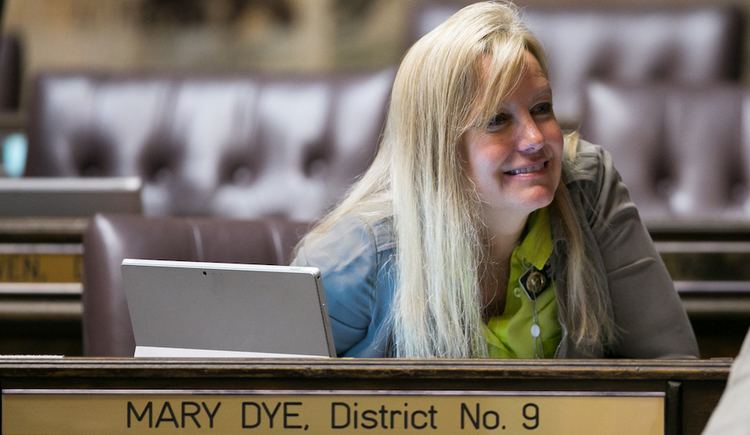 Mary Dye Mary Dye State Rep Grills Teens About Their Virginity Apologizes