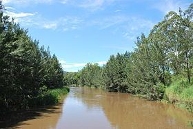 Mary River (Queensland) httpsuploadwikimediaorgwikipediacommonsthu