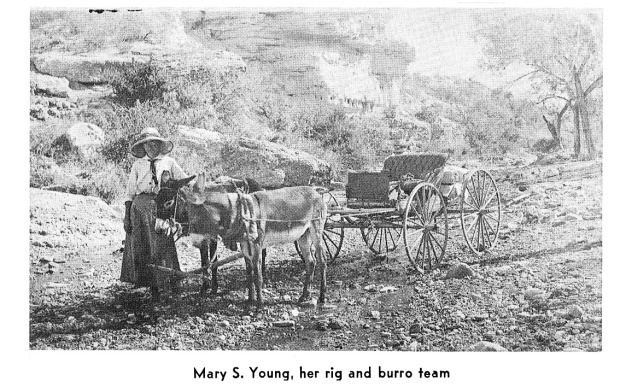 Mary Sophie Young Texas Botanist Mary Sophie Young Deep in the Heart of Textiles