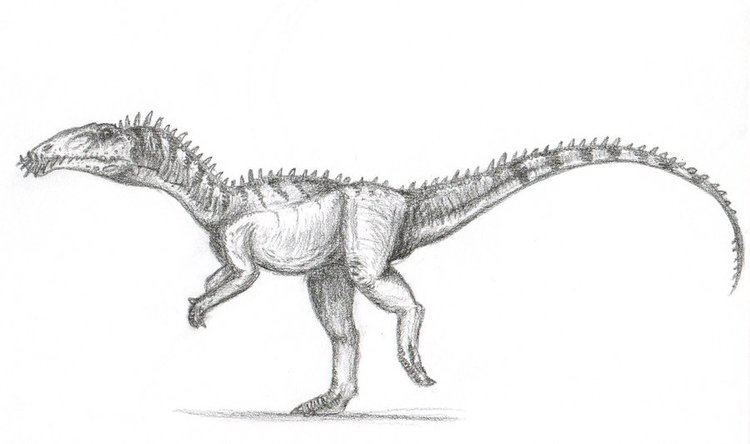Masiakasaurus masiakasaurus DeviantArt