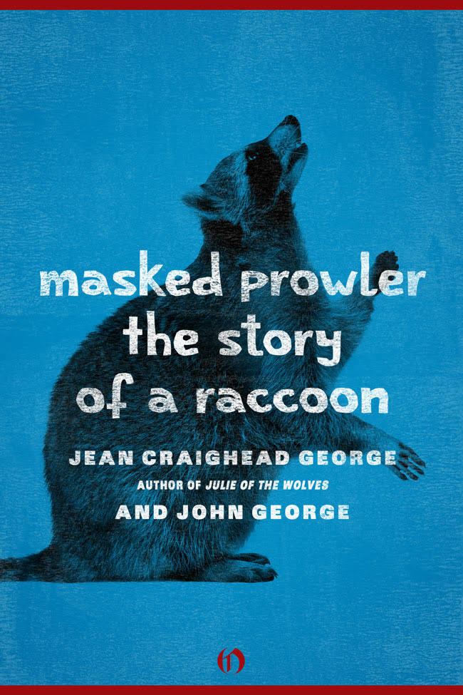 Masked Prowler, The Story of a Raccoon t2gstaticcomimagesqtbnANd9GcTdC8K77NycHVCGeD