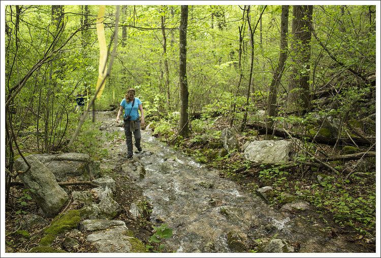 Massanutten Trail Strickler Knob via Massanutten Trailhead Virginia Trail Guide