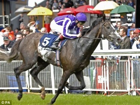 Mastercraftsman Mastercraftsman coasts to victory in the Irish 2000 Guineas Daily