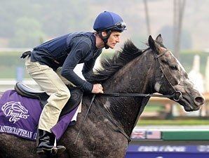 Mastercraftsman Mastercraftsman retired 2010 Coolmore fees BloodHorsecom