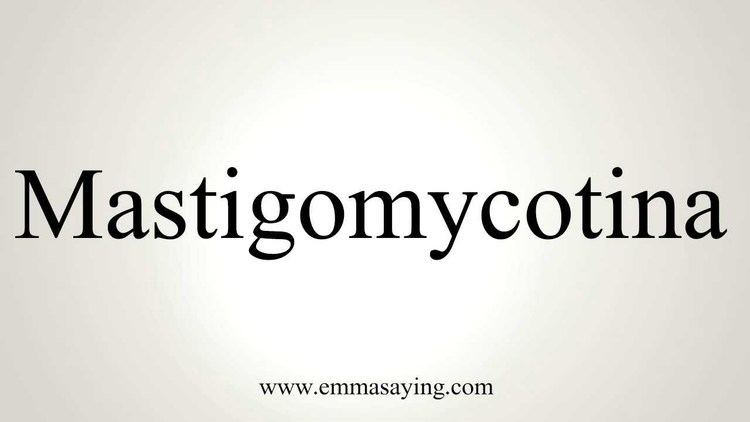 Mastigomycotina How to Pronounce Mastigomycotina YouTube