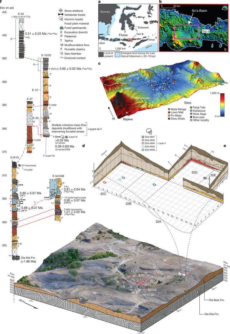 Mata Menge Context and chronology of the hominin fossils at Mata Menge Age