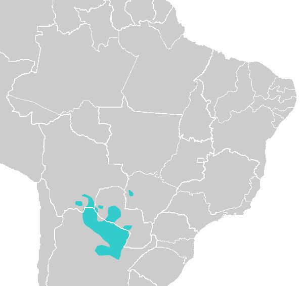 Mataco–Guaicuru languages