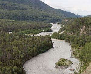 Matanuska River httpsuploadwikimediaorgwikipediacommonsthu