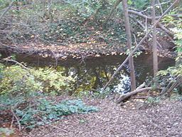 Matanzas Creek httpsuploadwikimediaorgwikipediacommonsthu