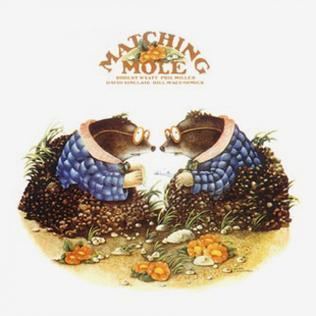 Matching Mole httpsuploadwikimediaorgwikipediaen886Mat