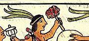 Matlaccohuatl httpsuploadwikimediaorgwikipediacommonsthu