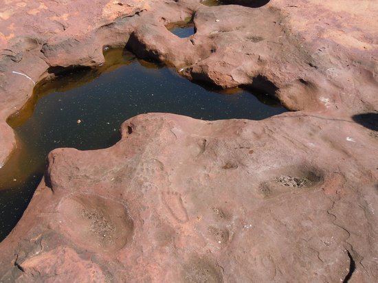Matsieng Footprints Matsieng39s Footprints Gaborone Botswana Top Tips Before You Go