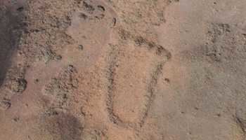 Matsieng Footprints Matsieng Footprints ProdAfrica Africa Business Map