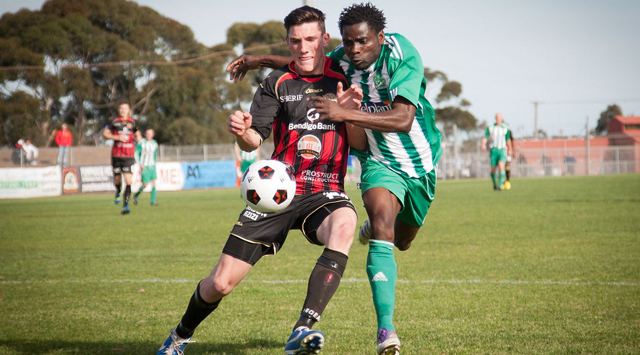 Matthew Millar (footballer) Matthew Millar named Rising Star FFV NPL SportsTG