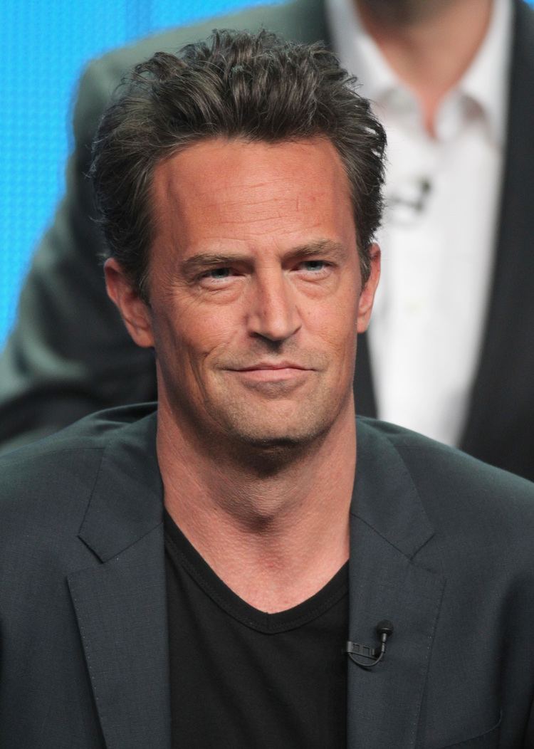 Matthew Perry Matthew Perry TV Treats The Hottest Guys of the Summer