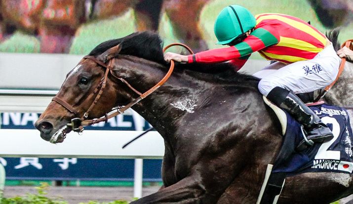 Maurice (horse) Maurice gains memorable victory for Japan and Moore International
