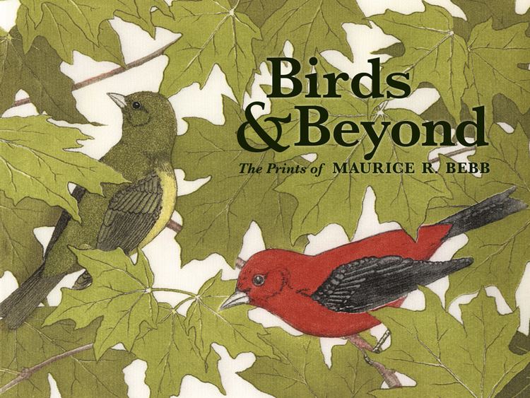 Maurice R. Bebb Birds Beyond The Prints of Maurice R Bebb